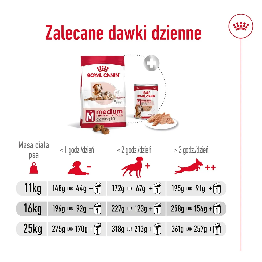 royal-canin-medium-ageing-10-15kg