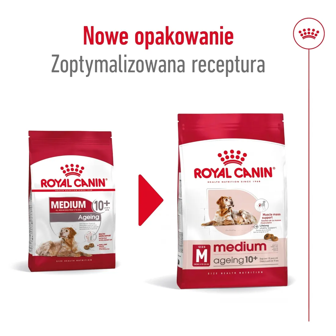 royal-canin-medium-ageing-10-15kg