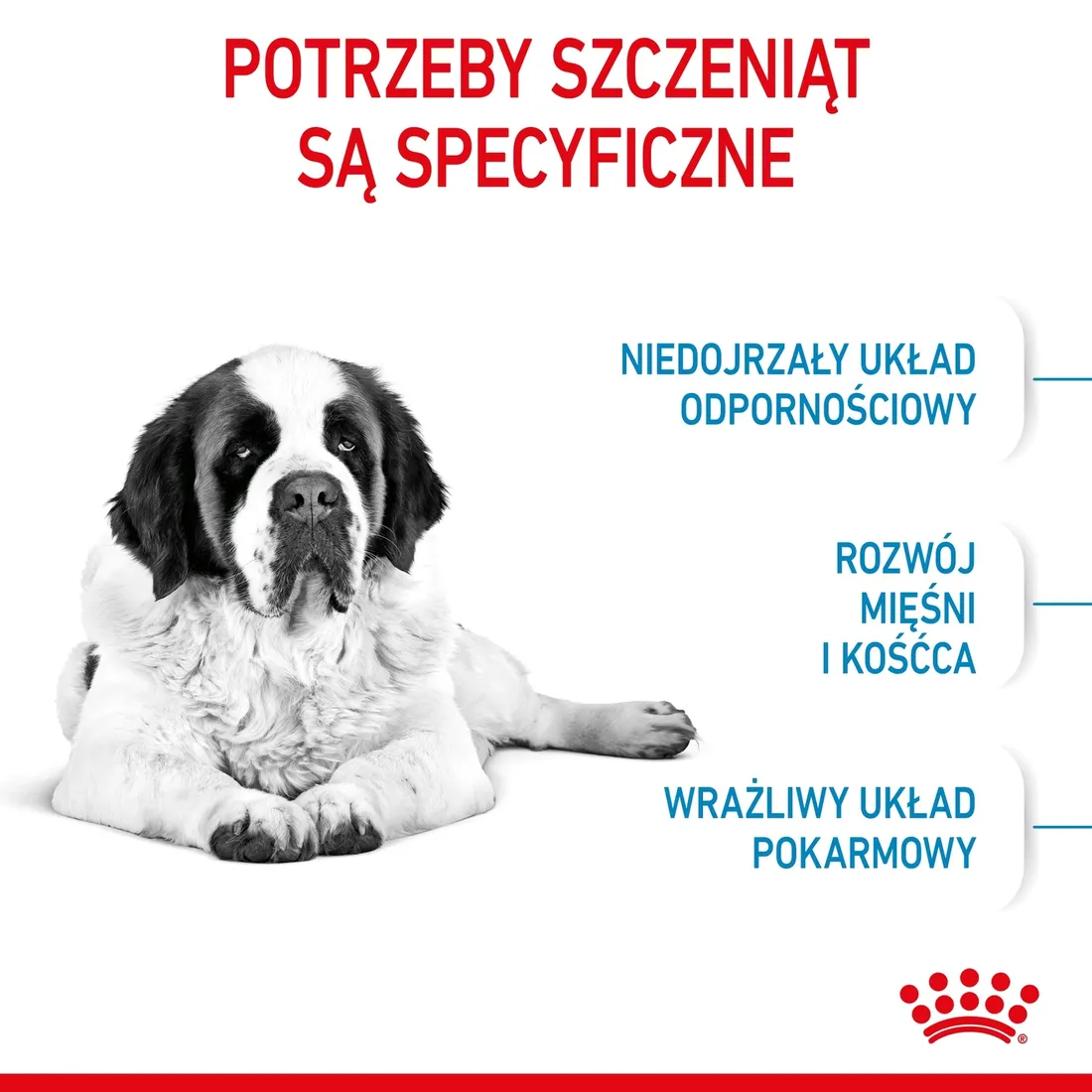 royal-canin-giant-junior-15kg