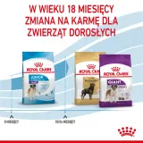 royal-canin-giant-junior-15kg-stan-nowy
