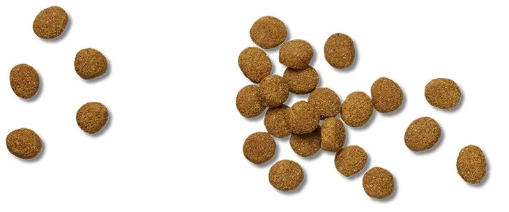 purina-pro-plan-veterinary-jm-joint-mobility-12kg-marka-pro-plan-karmy-specjalne-dla-psow-z-nadwaga