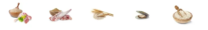 josera-lamm-and-reis-900g-wielkosc-psa-wszystkie-rasy