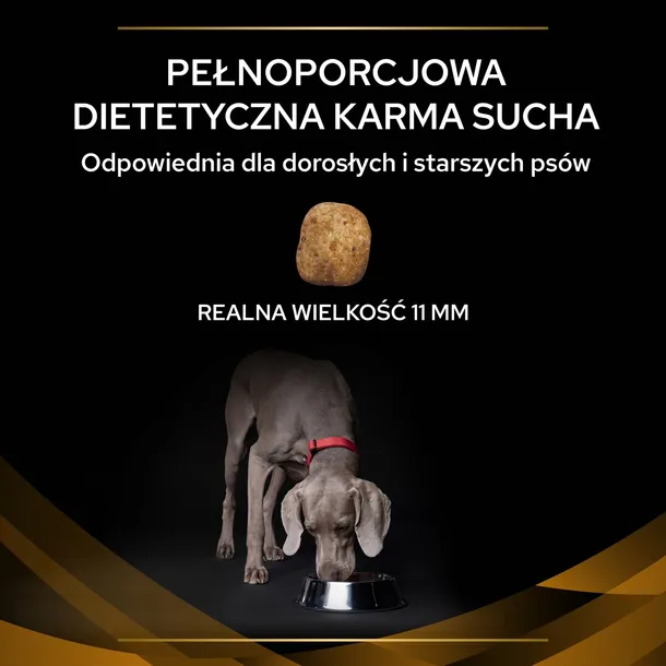 purina-pro-plan-veterinary-diets-nf-renal-function-12kg-rodzaj-karmy-hipoalergiczna