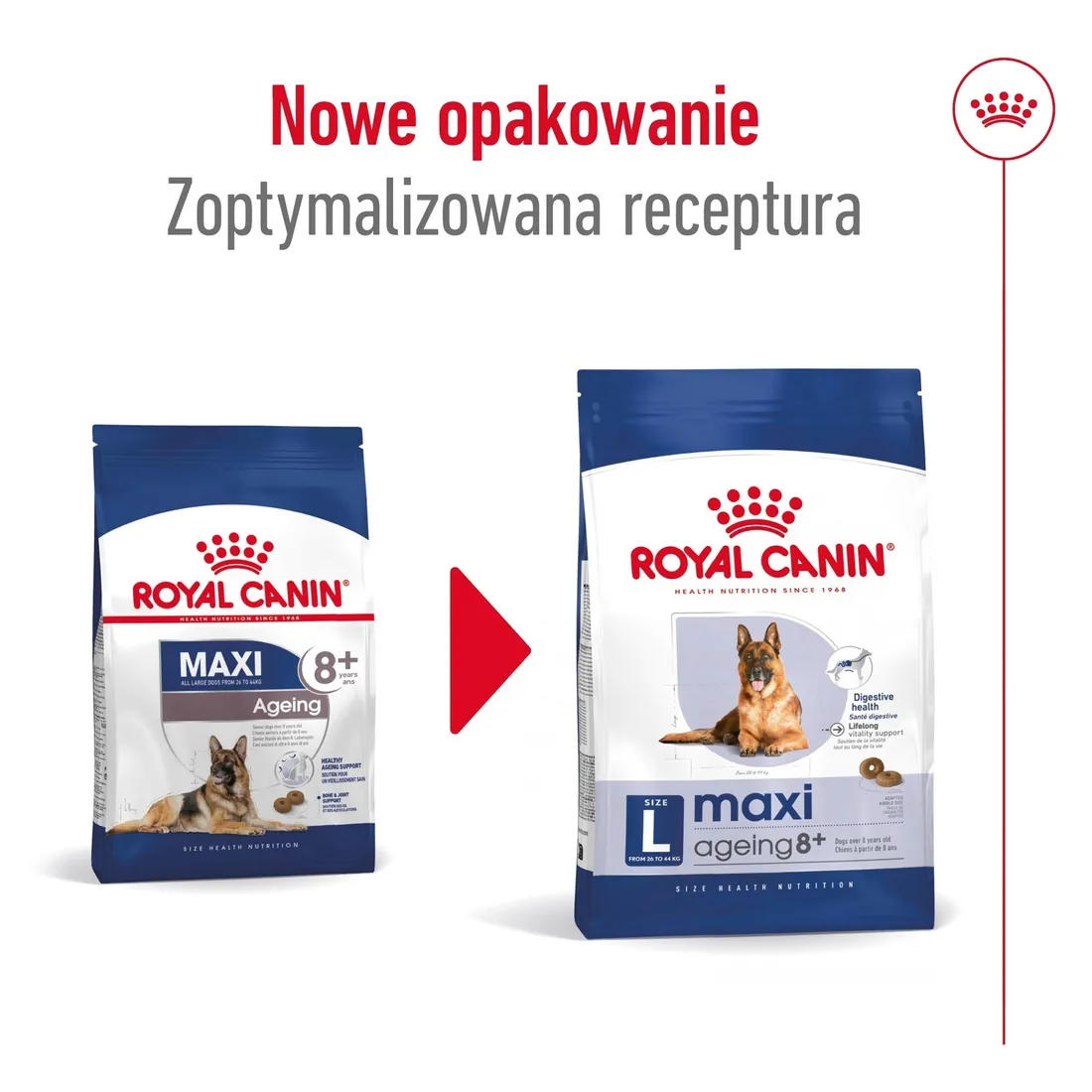 royal-canin-maxi-ageing-8-15kg