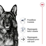royal-canin-maxi-ageing-8-15kg-wiek-zwierzecia-psy-dorosle