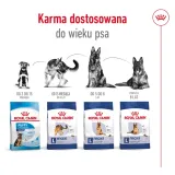 royal-canin-maxi-ageing-8-15kg-smak-drob