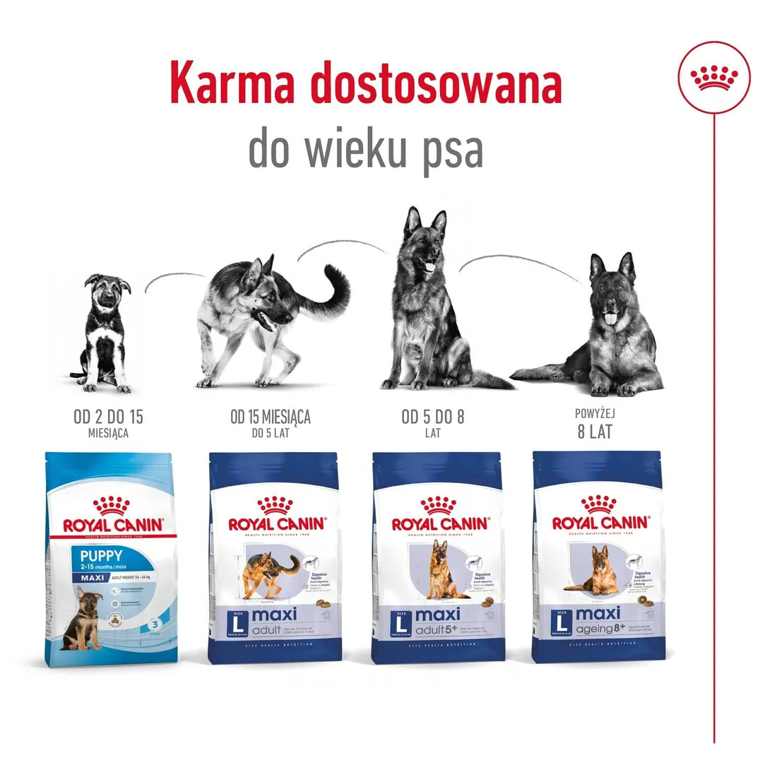 royal-canin-maxi-ageing-8-15kg-marka-royal-canin