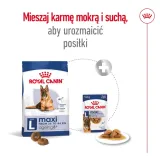 royal-canin-maxi-ageing-8-15kg-stan-nowy