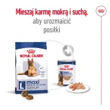 royal-canin-maxi-ageing-8-15kg-liczba-sztuk-w-opakowaniu-1-szt
