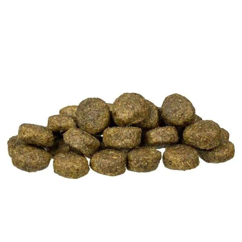 bosch-sensitive-lamb-and-rice-15kg