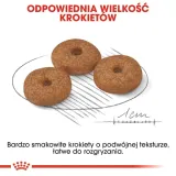 royal-canin-mini-ageing-12-15kg-karmy-specjalne-dla-psow-ze-schorzeniami-stawow