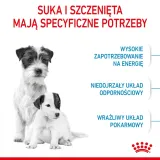 royal-canin-mini-starter-1kg-karmy-specjalne-nie-dotyczy