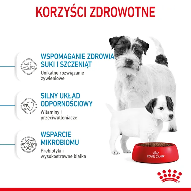royal-canin-mini-starter-1kg-rodzaj-karmy-hipoalergiczna-wysokobialkowa