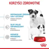 royal-canin-mini-starter-1kg-rodzaj-karmy-hipoalergiczna-wysokobialkowa