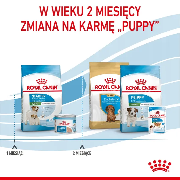 royal-canin-mini-starter-1kg-wielkosc-psa-rasy-male-less10-kg