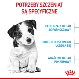 royal-canin-mini-puppy-4kg-karmy-specjalne-dla-psow-aktywnych