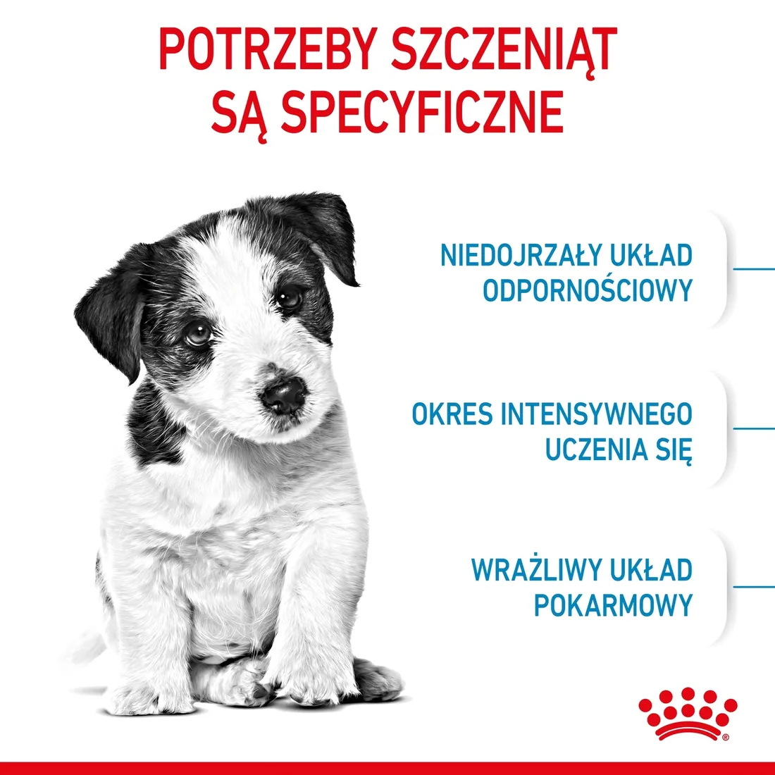 royal-canin-mini-puppy-4kg-marka-royal-canin