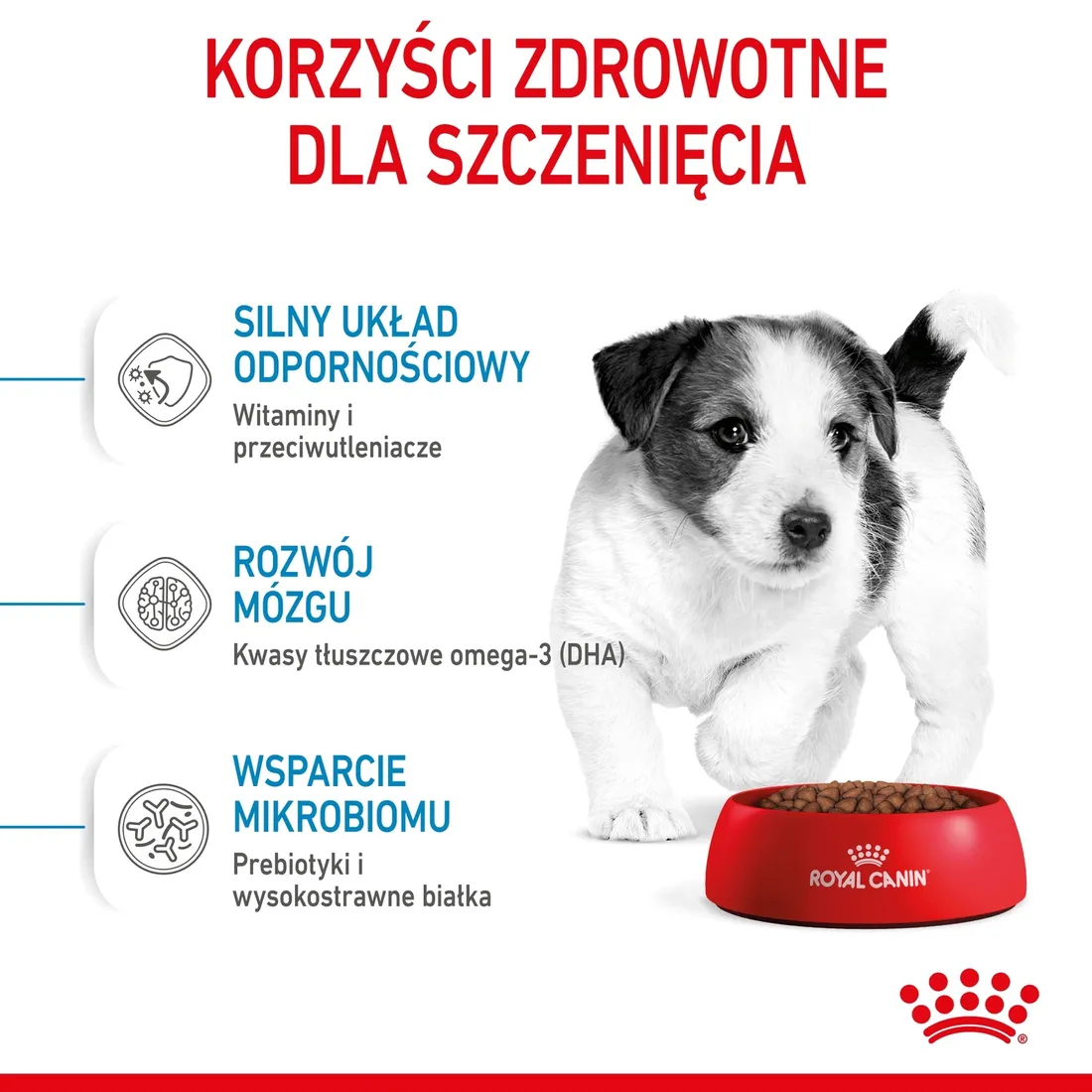 royal-canin-mini-puppy-4kg