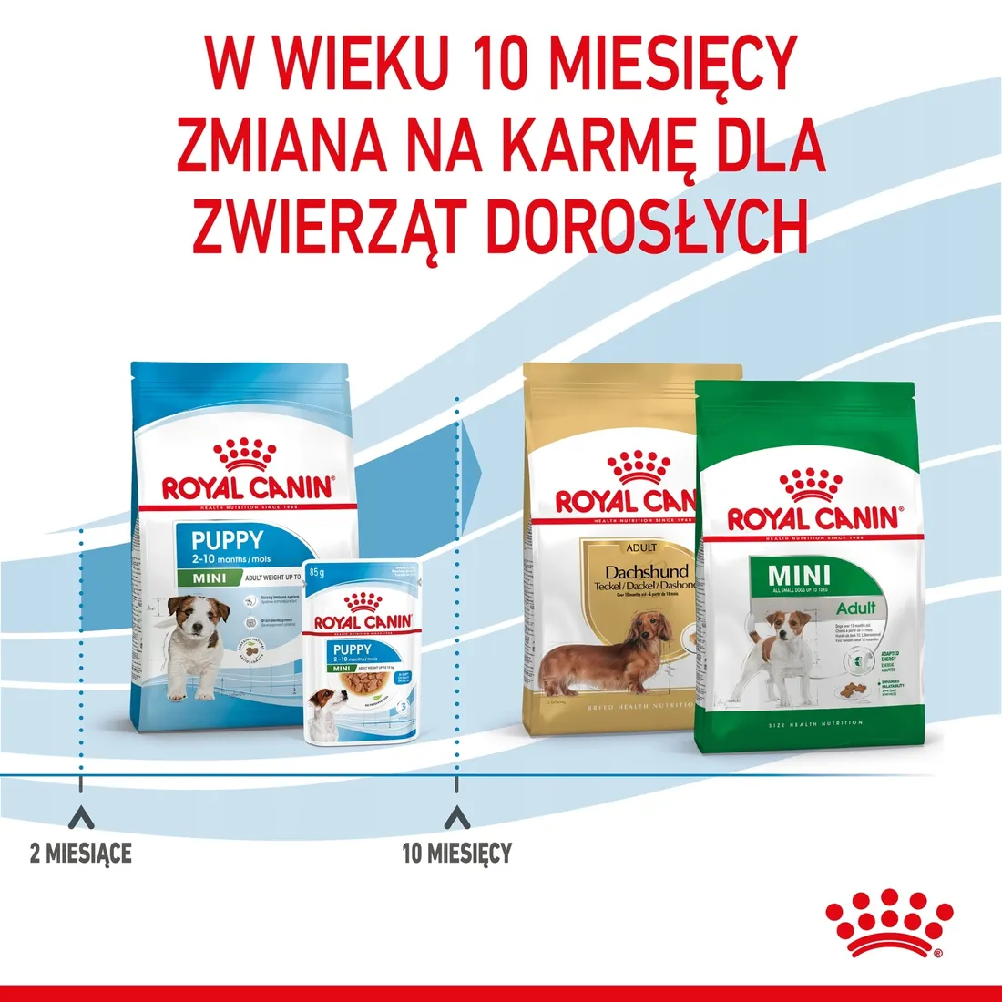royal-canin-mini-puppy-4kg