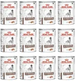 royal-canin-gastrointestinal-400g-liczba-sztuk-w-opakowaniu-1-szt