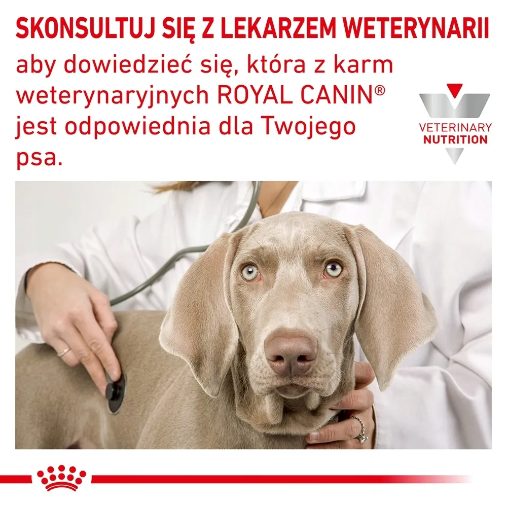 royal-canin-hypoallergenic-200g