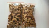 bosch-mono-mini-lamb-and-rice-10kg-wiek-zwierzecia-brak-informacji
