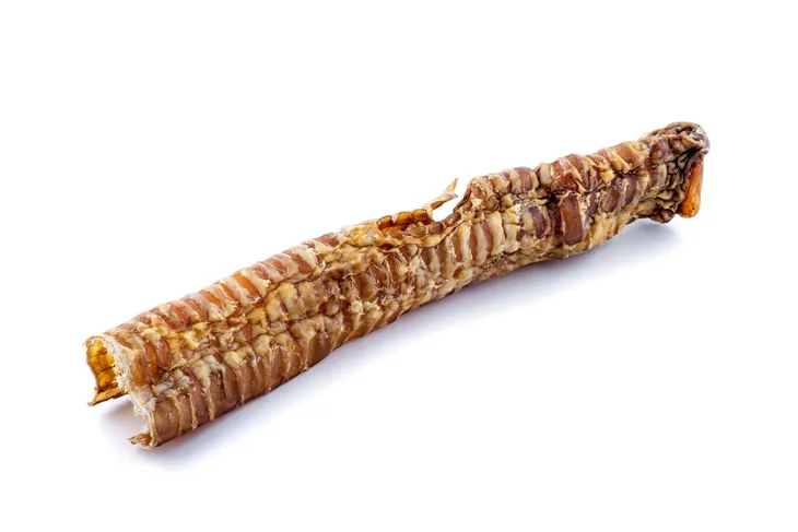 maced-tchawica-wolowa-25cm-cechy-dodatkowe-bez-wyprawianej-skory-rawhide-free-bezzbozowe-ekologiczne-hipoalergiczne