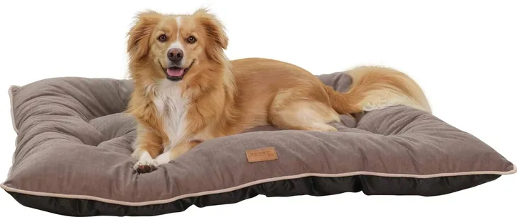 materac-benno-100-x-75-cm-brazowy-kerbl-marka-kerbl