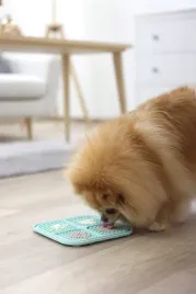 mata-do-lizania-20-x-20-cm-turkusowa-kerbl