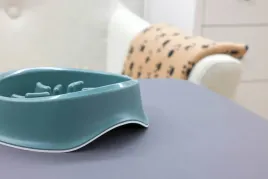 miska-spowalniajaca-jedzenie-zielona-1000-ml-kerbl