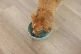 miska-do-lizania-slippy-sr-205-cm-turkusowy-kerbl