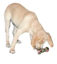 zabawka-dla-psa-hantel-z-winylu-15-cm-kerbl