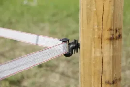 izolator-narozny-do-tasmy-cavallo-10-szt-kerbl