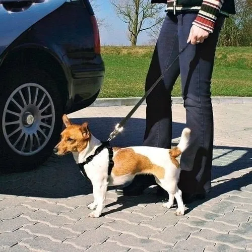 trixie-szelki-dla-psa-rozmiar-m