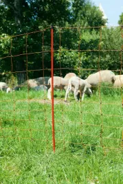 siatka-dla-owiec-ovinet-50m-90-cm-podw-szpic-pomaranczowa-kerbl