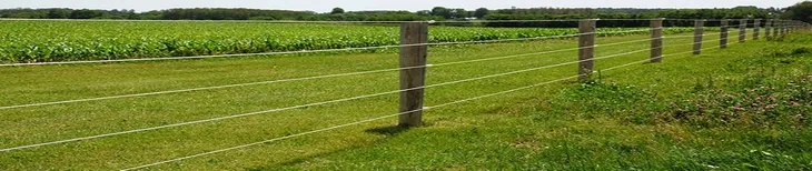 plecionka-ogrodzeniowa-basic-250-m-biala-kerbl-stan-nowy-opornosc-13-ohm-m