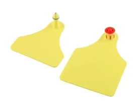 kolczyk-flexoplus-f-czesc-meska-i-d-zenska-zolty-czysty-caisley