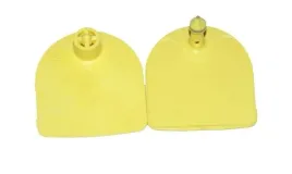 kolczyk-multiflex-u-czesc-meska-i-zenska-zolty-caisley