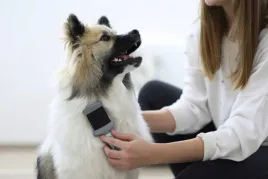 szczotka-dwustronna-z-delikatnymi-metalowymi-zabkami-dla-psow-19-x-7-cm-k