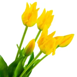 cv17691-3-tulipany-tulipan-bukiet-papuzie-gumowane-5szt-jak-zywe