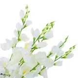 cv31140-15-mieczyk-bukiet-x5-rodzaj-bukiety