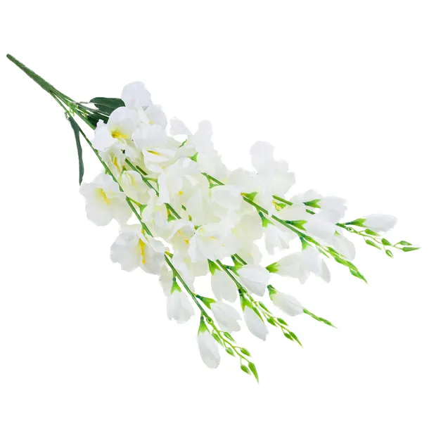 cv31140-15-mieczyk-bukiet-x5-wysokosc-maksymalna-68-cm