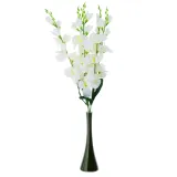 cv31140-15-mieczyk-bukiet-x5-typ-inny