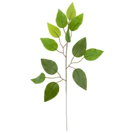 cv07555-lisc-fikusa-galazka-ozdobna-dekoracyjna-ficus