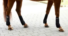 ochraniacze-dla-konia-neoprenowe-czarny-roz-cob-4-szt-covalliero