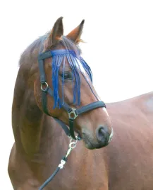 naczolek-z-fredzelkami-dla-konia-granatowy-roz-cob-covalliero