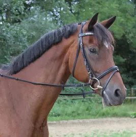 wodze-parciane-ze-stoperami-czarny-roz-pony-covalliero