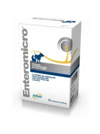 geulincx-enteromicro-32szt