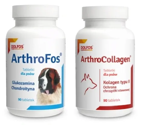 dolfos-arthrofos-90-tabletek-wiek-zwierzecia-dla-wszystkich-psow