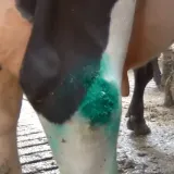 repiderma-spray-ochronny-250-ml-marka-intracare